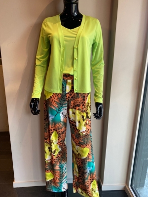 CARDIGAN ST. 118 LIME 